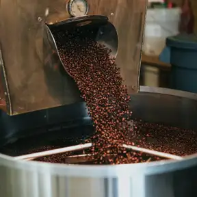 Fresh-roasted beans tumbling from the roaster into the cooling tray
