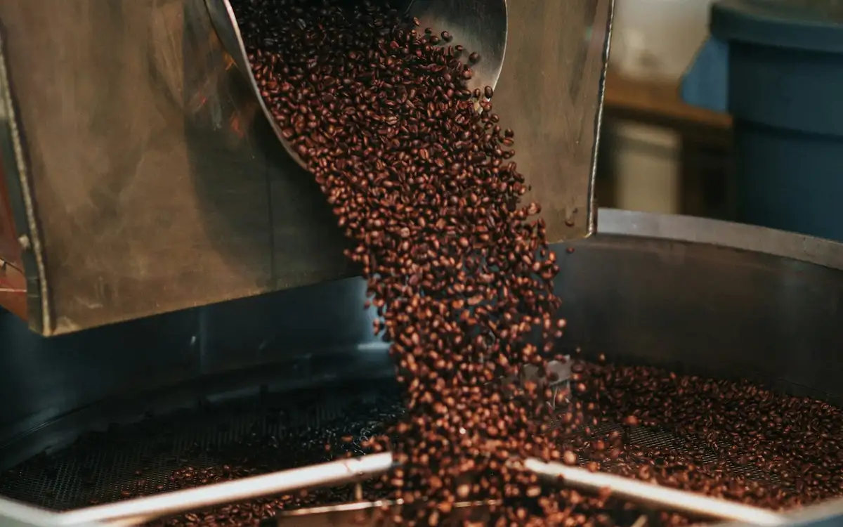 Fresh-roasted beans tumbling from the roaster into the cooling tray