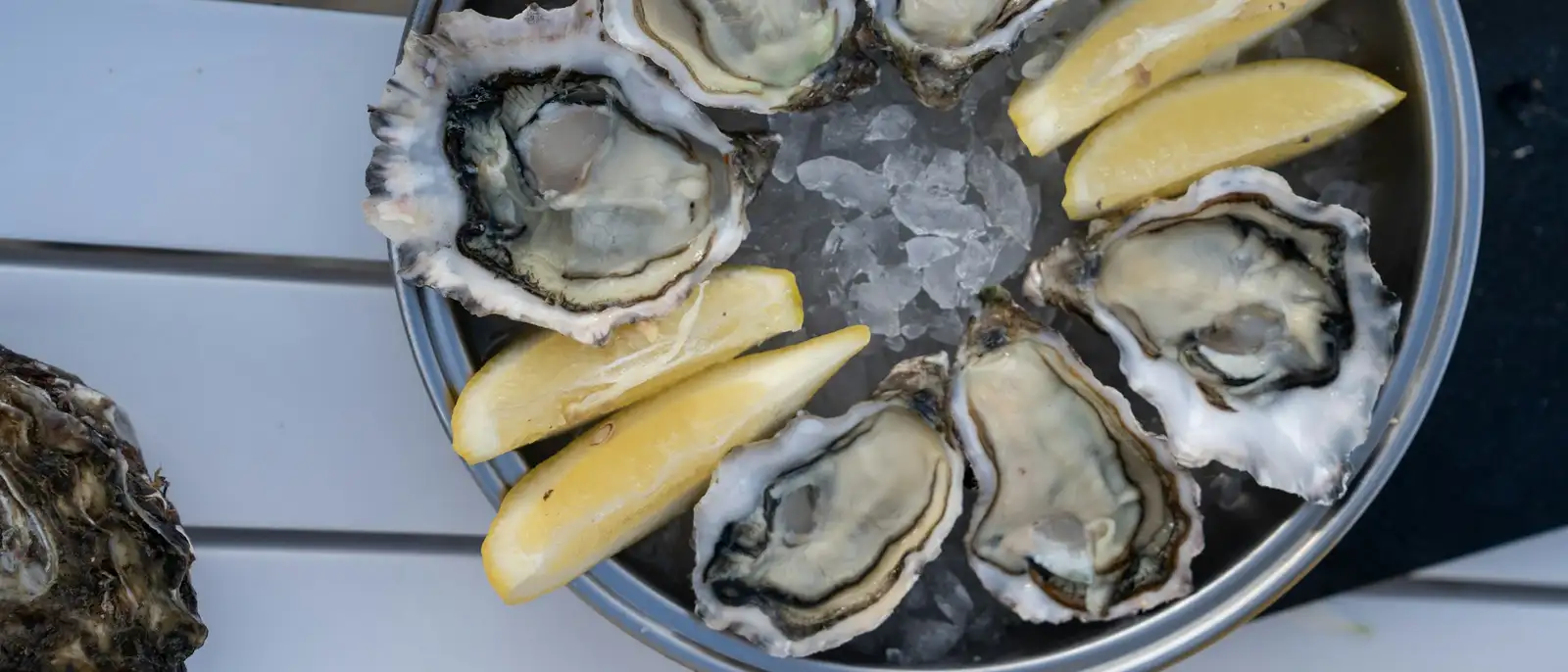 Oysters on crushed ice with wedges of lemon, on a steel tray