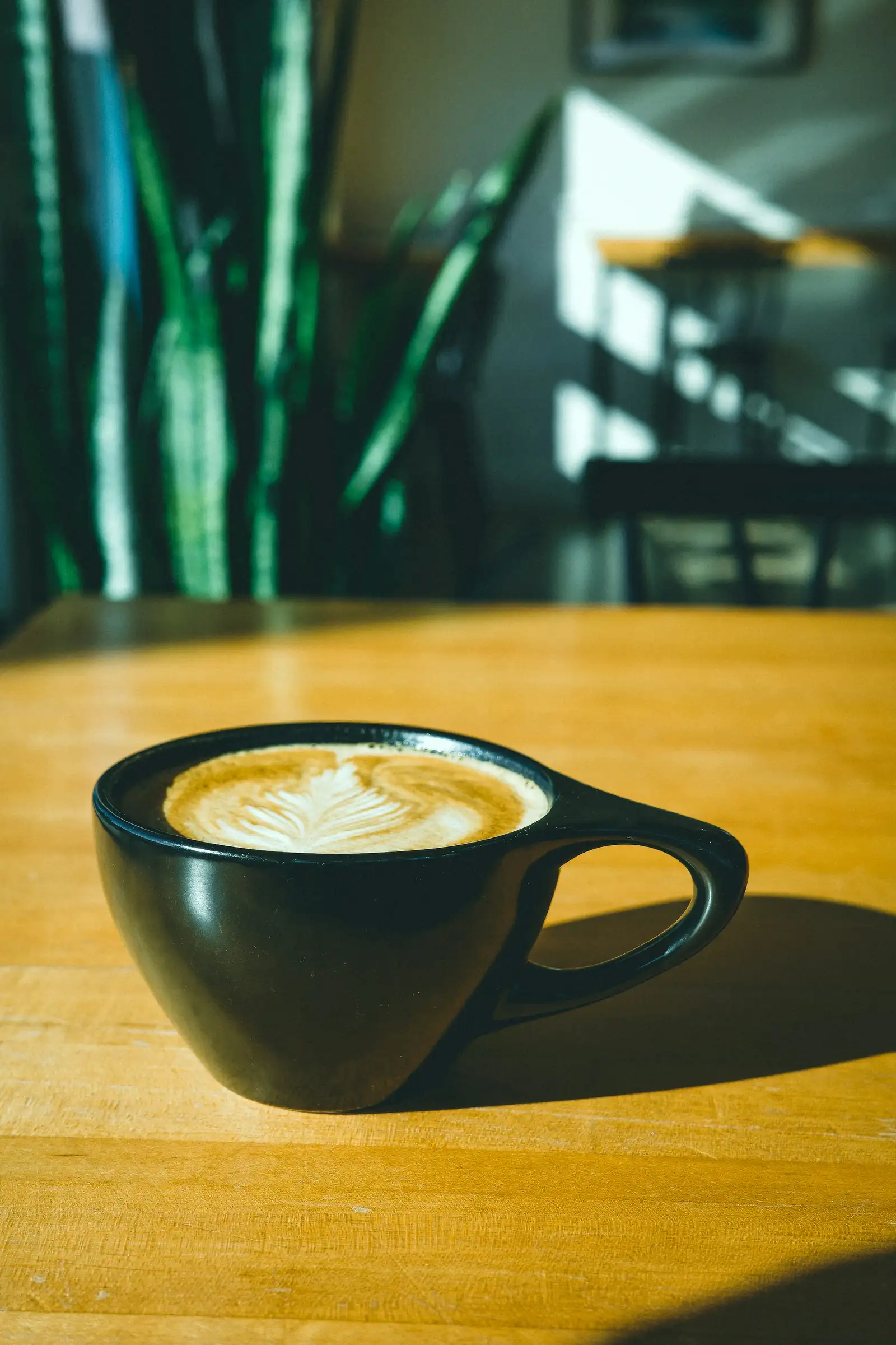 A latte in a black cup on a wooden table, low morning sun throwing long warm shadows