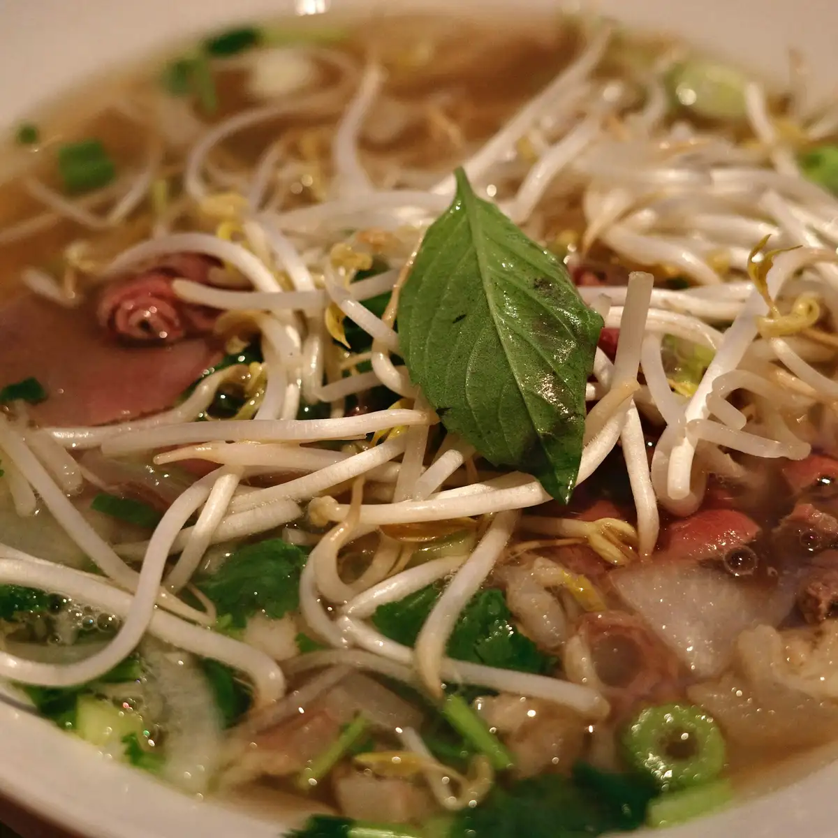 Phở from above: rare beef, bean sprouts, Thai basil and scallions in a wide white bowl