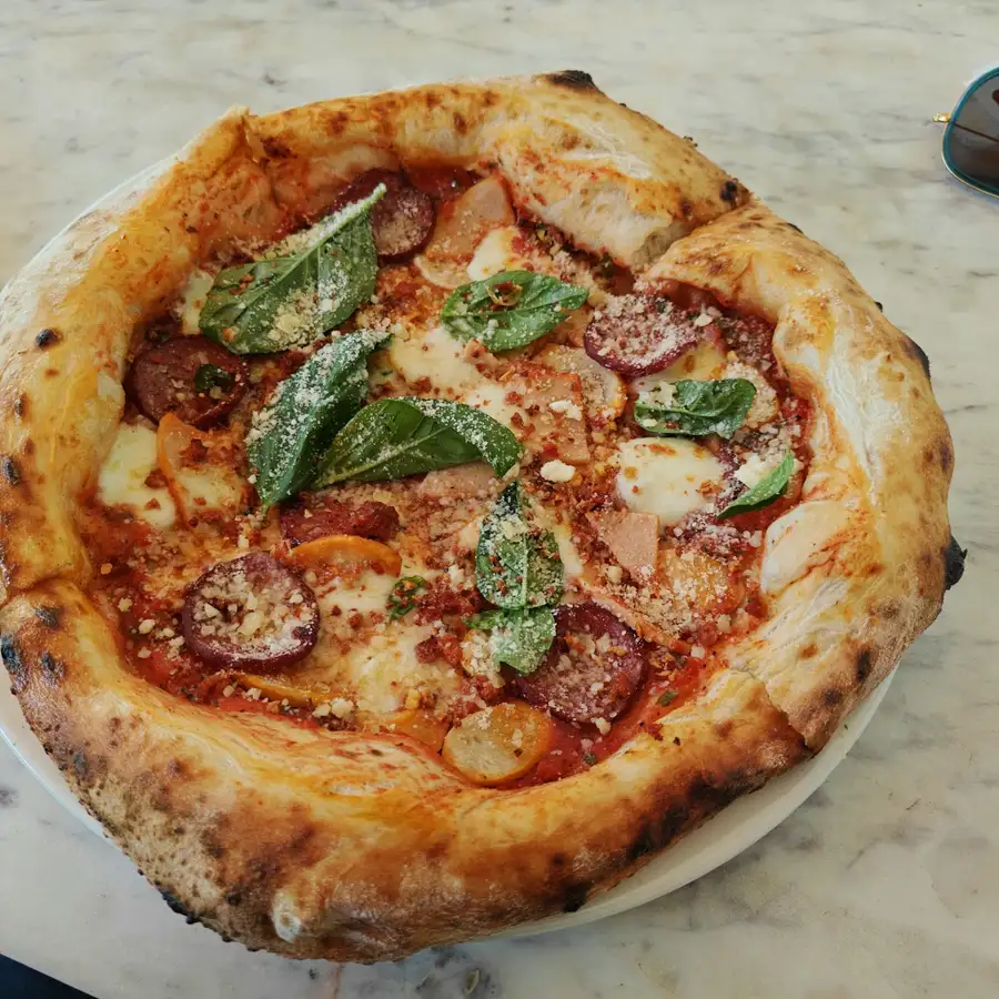 A blistered pizza with soppressata, torn basil and red sauce